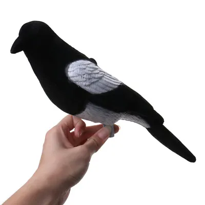 £7.90 • Buy Full Flocked Realistic Calling Magpie Decoy Shooting/Hunting Decoying Baits