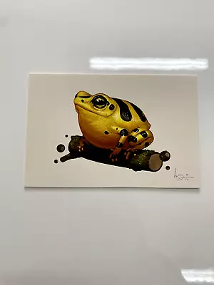 Panamanian Golden Frog Mondo Con 2016 By Mike Mitchell Poster Art Giclee • $200