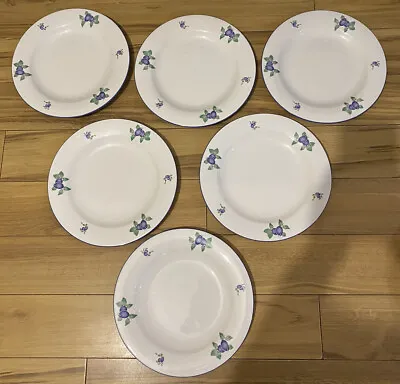 £60 • Buy Royal Doulton Blueberry Everyday 6 Large Dinner Plates 10.5”