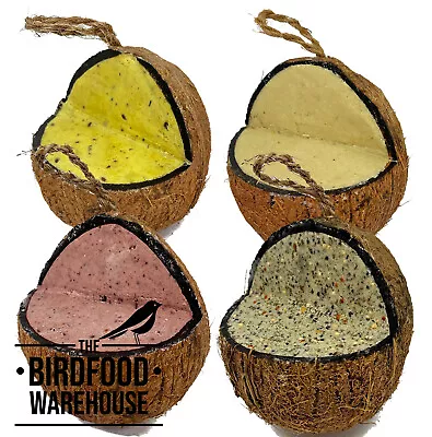 XL Premium Suet Coconut Feeders | Wild Bird Food Whole Hanging V-Cut Coconut • £6.99