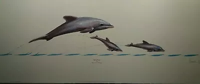 £19.95 • Buy Splash By Warwick Higgs Dolphins 