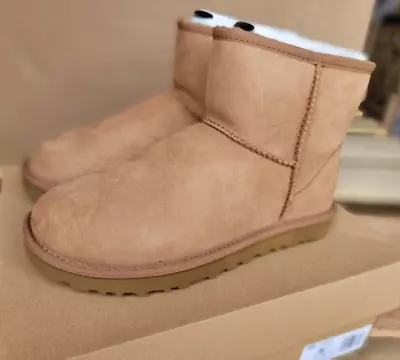 UGG Womans Classic Mini Ll Size 7 Chestnut 1016222 New In Box • $84.99