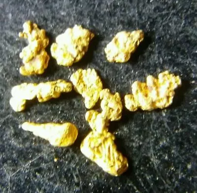 10 Pcs Montana Natural Gold Nuggets - Montana Gold 1-2MM • $19.57