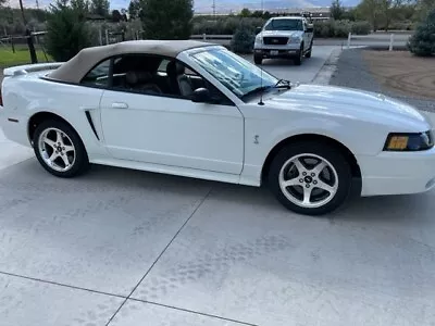 2001 Ford Mustang  • $26000