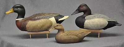 3- Decoys Mallard Teal Canvasback Duck Decoys Resin Hollow  Excellent Cond • $29.99