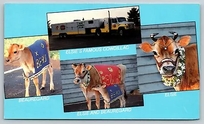 ELSIE BORDEN COW & SON Dairy FAMOUS COWDILLAC TOUR HAULER TRUCK Vtg Postcard A45 • $4.69