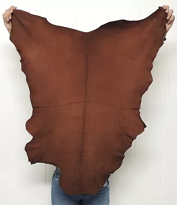 $30.75 • Buy WHISKEY BUCKSKIN Leather Hide For Native Crafts Taxidermy SCA LARP Skin Pelt