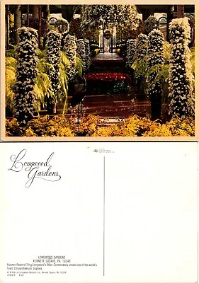 Pennsylvania Kennett Square Longwood Gardens Chrysanthemum Display VTG Postcard • $9.89