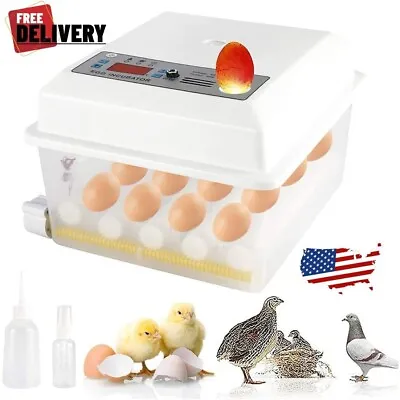 Automatica Incubadora De 12- 35 Huevos Encubadora Gallina Pato Egg Incubator NEW • $57.99
