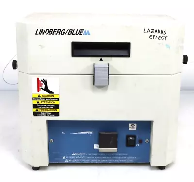 Thermo Scientific Lindberg/Blue M TF55035A Tube Furnace W/ Handles • $1462.49