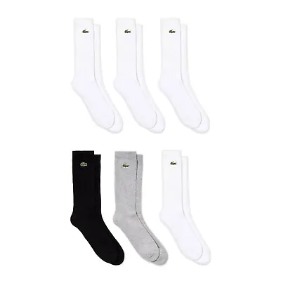 Lacoste Socks - Lacoste Sport Socks 3 Pack - RA4182 - White - Black White Grey • £28