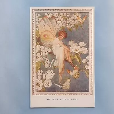 Artist Signed Postcard C1940 The Pear-Blossom Fairy Margaret W Tarrant Fairies • £9.95