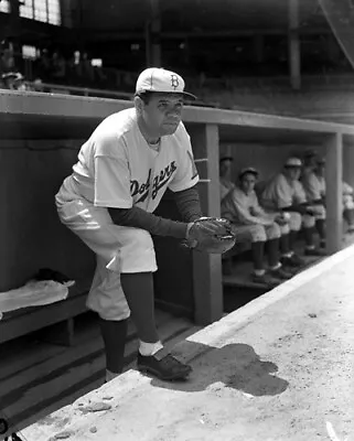 Babe Ruth Brooklyn Dodgers 1938 Photo • $12