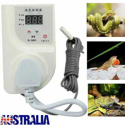 $26.89 • Buy Reptile Digital Thermostat Controller Heat Mat Lamp Incubator For Snake Lizard