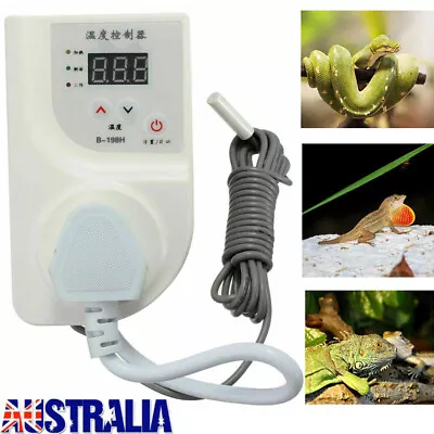 $26.89 • Buy Reptile Digital Thermostat Controller Heat Mat Lamp Incubator For Snake Lizard