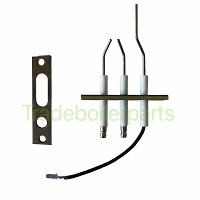 Main Combi 25 30 Eco & Eco Elite Ignition & Ionisation Electrode Kit 5130293 • £32