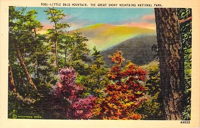$7.46 • Buy Vtg Linen Postcard Little Bald Mountain Great Smoky Mountains National Park '40s