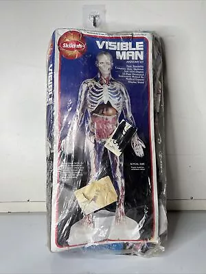 Visible Man 1994 Skilcraft Replacement Pieces/ Parts- Anatomy Kit 74622 -  BONES • $15