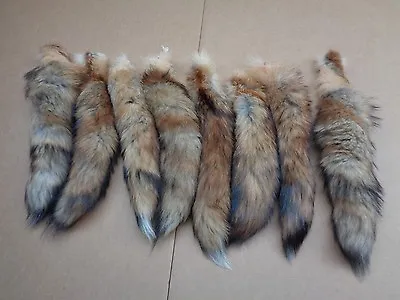 #1 Large Tanned Red Fox Tails/Fur/Crafts/Real Fur Tails/Harley Parts/Purse • $10.75