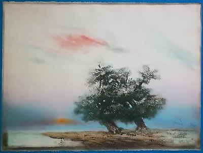 Rare Kaiko Moti Signed & Numbered Landscape Original Aquatint Etching Unframed • $399.99