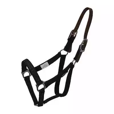 ThinLine Breakaway Turnout Halter - For Use With Flexible Filly Grazing Muzzle • $52