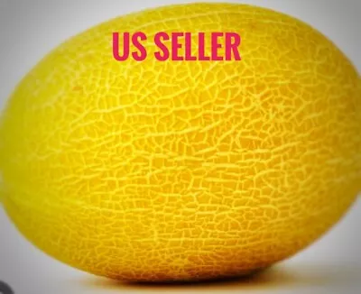 20+ Rare Hami Melon Large 4-5lb Fruits Sweet & Crunch  Fresh Seeds USA Seller • $4.38