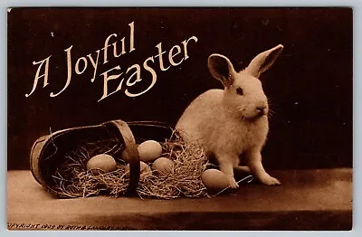 Postcard Joyful Easter Bunny Rabbit Eggs Basket 1909 Roth & Langley Sepia Straw • $8