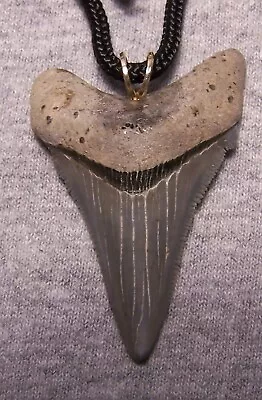 Megalodon Shark Tooth Necklace  2 1/4   Fossil Teeth Pendant Jaw Megalodon GEM • $49