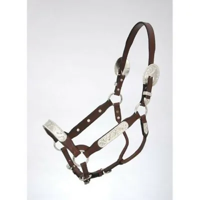 $79.99 • Buy Yearling Size Dark Oil Leather CONGRESS SHOW HALTER W/ Berry Edge Silver Trim
