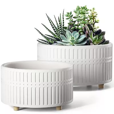 Succulent Pots 6.5+8 Inch Ceramic Indoor Plant Pot With Drainage Hole Moder... • $44.69