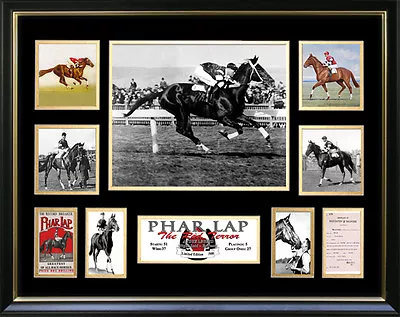 Phar Lap  Framed Memorabilia • $99