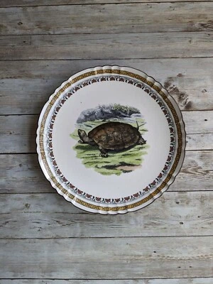 £123.61 • Buy Antique Rare Mintons Transferware Plate Aesthetic Movement Turtle Polychrome 