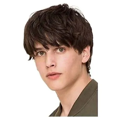 Dark Brown Short Hairstyles Men's Natural Layered 100% Human Hair Wig 8 Inch • $31.34