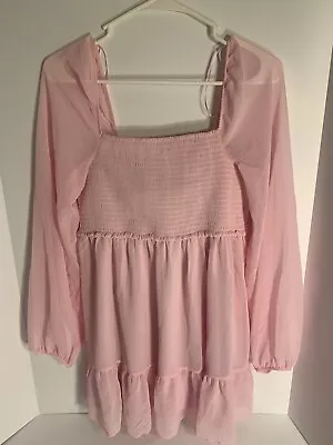 Charlotte Russ Pink Shear Dress Size Large • $19