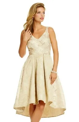 $113.72 • Buy Eva By Eva Franco 241204 Womens Zander V-Neck Hi-Low A-Line Dress Beige Size 0