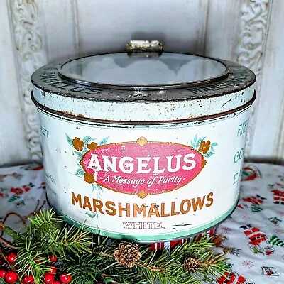Rare Glass Top Angelus Marshmallow Tin 5 Lbs Store Counter Tin  • $325