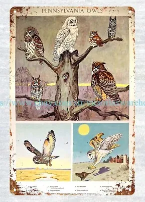 1951 Pennsylvania Owls Poster PA Game Commission Metal Tin Sign Wall Prints • $18.99