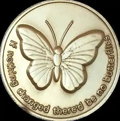 $2.99 • Buy If Nothing Changed There'd Be No Butterflies Bronze Butterfly Medallion Coin