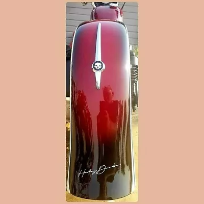 Harley Indian BMW Skull Fender Trim Front Spear V-Twin 50-1235 Chrome Custom X8 • $76.22