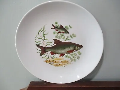 MCM  Freshwater Roach  Naaman Israel Porcelain Fish Fishing 9.25''dinner Plate • $25