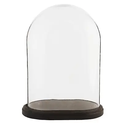 £84.99 • Buy Glass Display Cloche Bell Jar Dome Flower Preservation Vase Wooden Base 42cm 