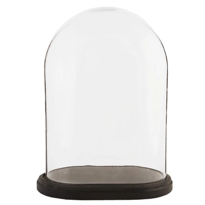 £84.99 • Buy Glass Display Cloche Bell Jar Dome Flower Preservation Vase Wooden Base 42cm 