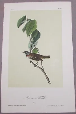 Morten's Finch  Audubon 2nd Edition 1850 Hand Colored  Litho J.t.bowen • $69.95