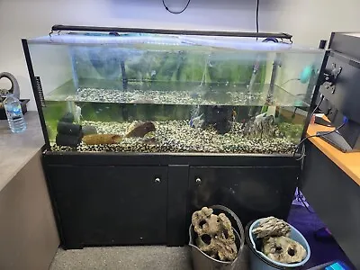 $100 • Buy Aquarium Fish Tank With Cabinet