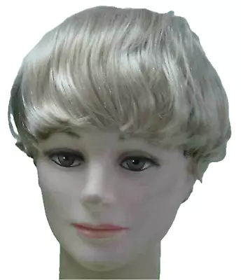Barbie Blonde Ken Wig Surfers Wig Mens Costume Wig • $18.99