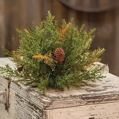 PRICKLY PINE HALF SPHERE Pinecone Needle Christmas Winter Primitive Country Moss • $11.90