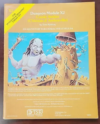 Castle Amber Adventure Module X2 Dungeons And Dragons D&D Vintage 1981 • $17.50