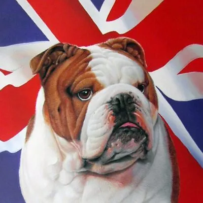 British Bulldog English Union Jack Flag Patriotic Dog Canine Art Print • £3.50