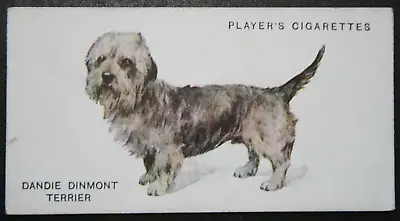 £3.99 • Buy DANDIE DINMONT TERRIER  Vintage 1930's Illustrated Dog Card  QC28M