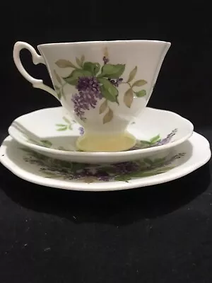 Vintage Salisbury England Trio Cup Saucer Plate Bone China Lilac  • $25